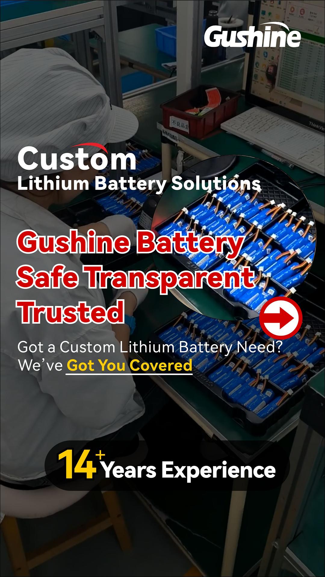 Gushine Battery Safe Transparent Trusted-封面.jpg